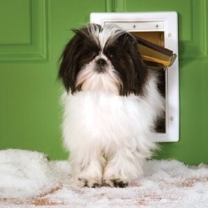 Dogs Gates Houses & Doors