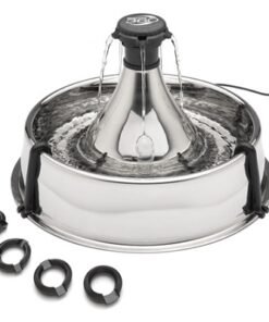 Dogs feeders & Waste
